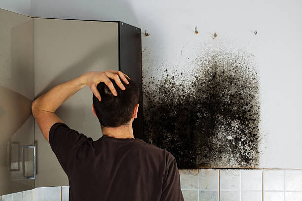 Best Mold Remediation  in Rosend, LA